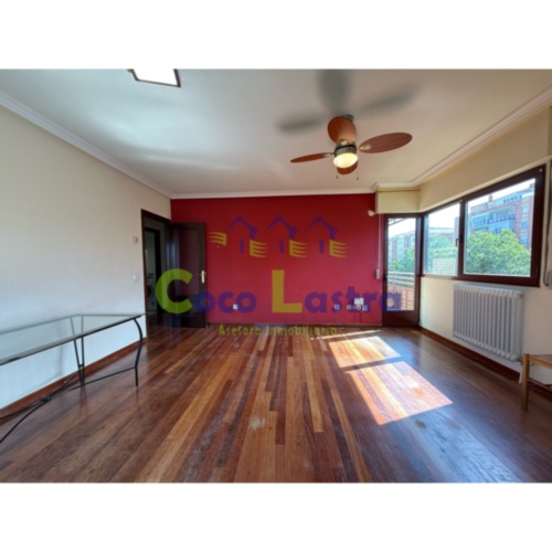 Salón comedor 